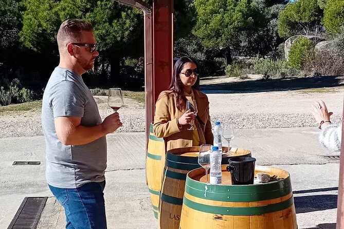 Madrid Winery Tour with Tasting and Sommelier Guide - Who will enjoy this wine outing most