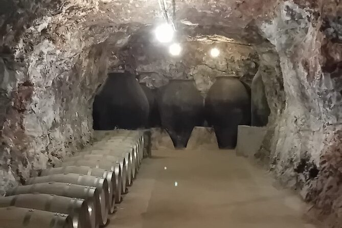 Madrid Winery Tour with Tasting and Sommelier Guide - Practical details before you reserve