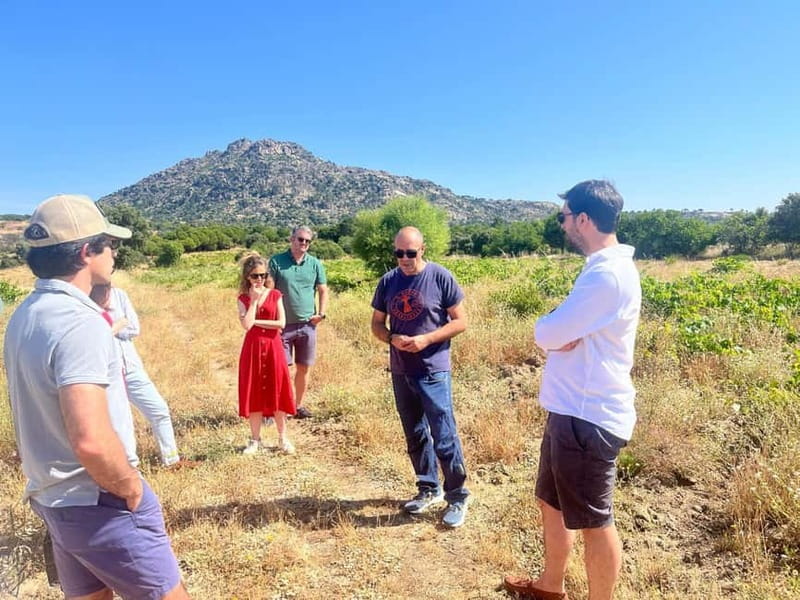 Madrid Winery Tour with Tasting & Sommelier Guide - What the $125 price includes