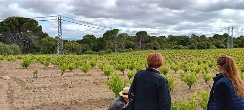 Madrid Winery Tour with Tasting & Sommelier Guide - Why the eight-person limit matters
