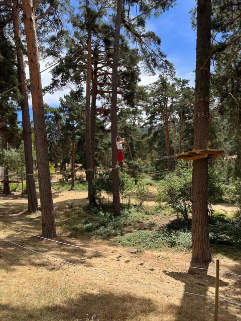 Madrid: Zip line circuits high in the trees - How the height changes the experience