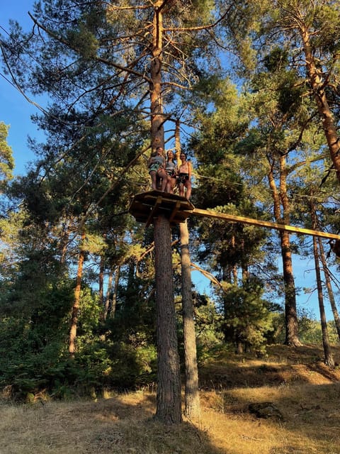 Madrid: Zip line circuits high in the trees - Who will get the most from it
