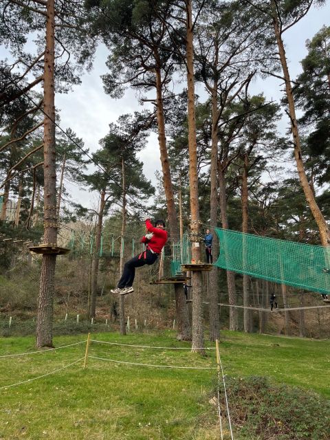 Madrid: Zip line circuits high in the trees - What to bring and how to prepare