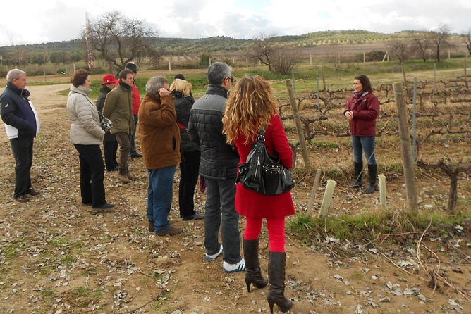 Medieval Castles, Wineries Experience with Tasting from Madrid - Lunch at a local restaurant