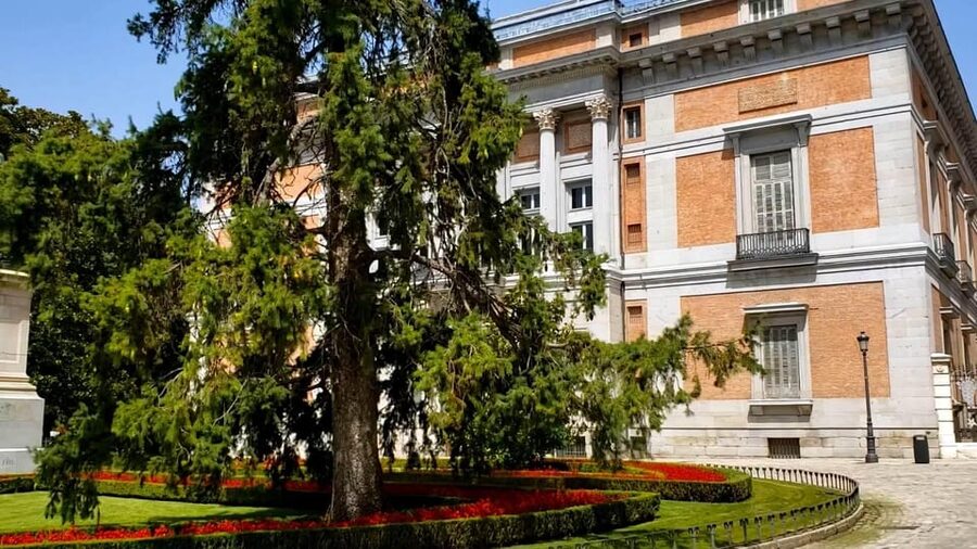 PRADO MUSEUM HIGHLIGHTS PRIVATE TOUR - What the 2.5-hour visit is likely to feel like
