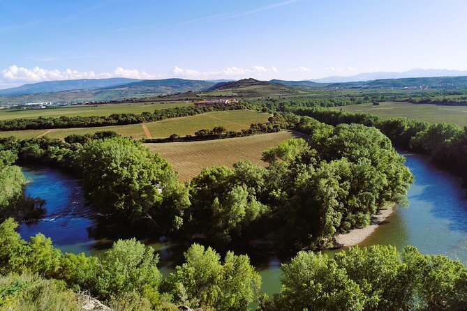 Premium Tour to Ribera del Duero with Wnologist Guide - Key points at a glance