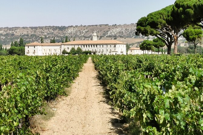 Premium Tour to Ribera del Duero with Wnologist Guide - Why Ribera del Duero makes a worthwhile day trip from Madrid