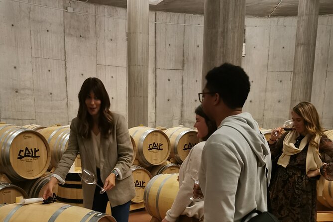 Premium Tour to Ribera del Duero with Wnologist Guide - Going underground at Ismael Arroyo and ValSotillo
