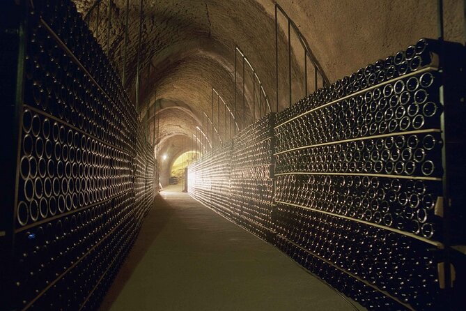 Premium Tour to Ribera del Duero with Wnologist Guide - Is $480.56 a fair price?