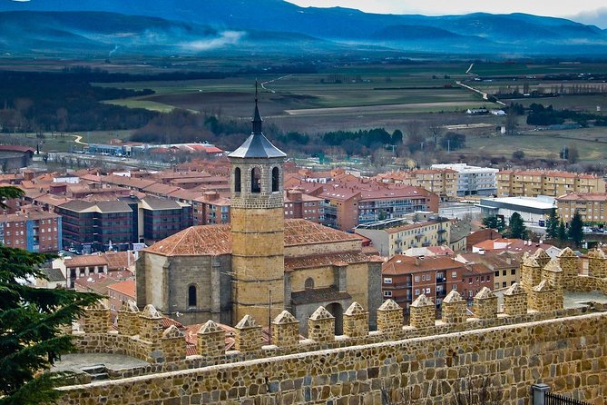 Private 3-hour Walking Tour of Avila with official tour guide - Plaza Mercado Chico and the Old Town Center