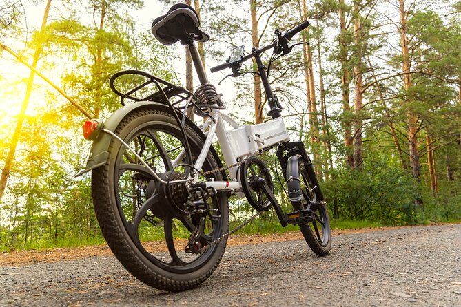 Private E-Bike Tour: Madrid City Center & Retiro Park - One hour in Retiro Park