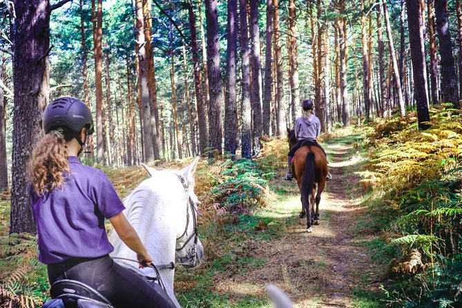 Private Horse Ride in Madrid natural park reserve - From Madrid to the Sierra in about 45 minutes