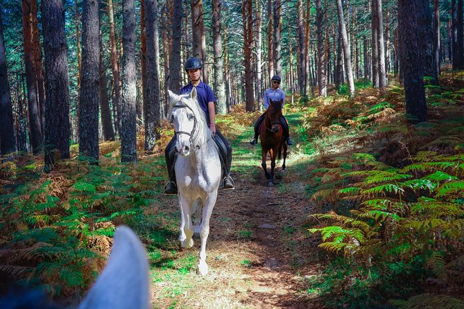 Private Horse Ride in Madrid natural park reserve - A horse and route suited to your ability