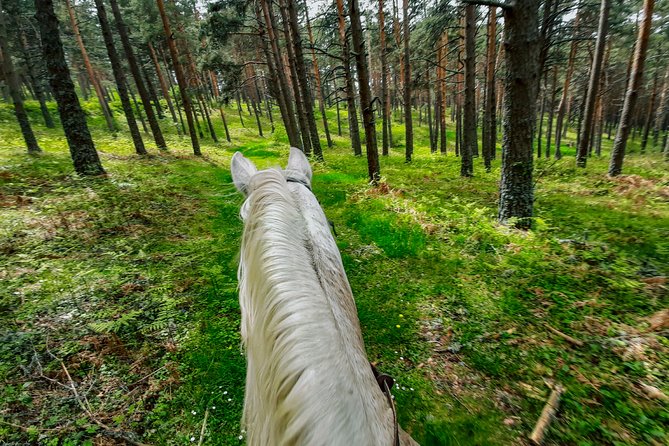 Private Horse Ride in Madrid natural park reserve - Ignacio, the horses, and the tone of the ride