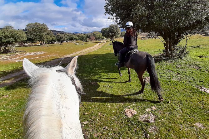 Private Horse Ride in Madrid natural park reserve - Who will enjoy this ride most