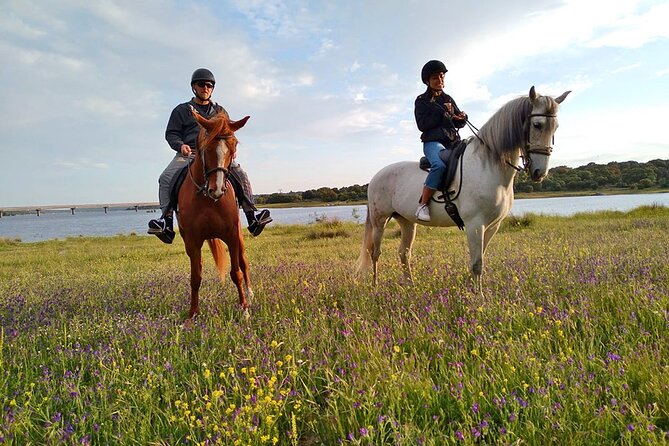 Private Horse Ride in Madrid natural park reserve - Forests, plains, rocks, and mountain views