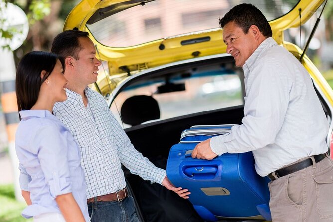 Private One-way Airport Transfer Madrid Airport To Madrid - Who should book this Madrid transfer?