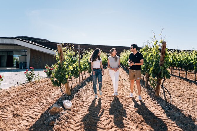 Private Segovia & Ribera del Duero with Wine Tasting from Madrid - Lunch in Segovia and the cost of a short break
