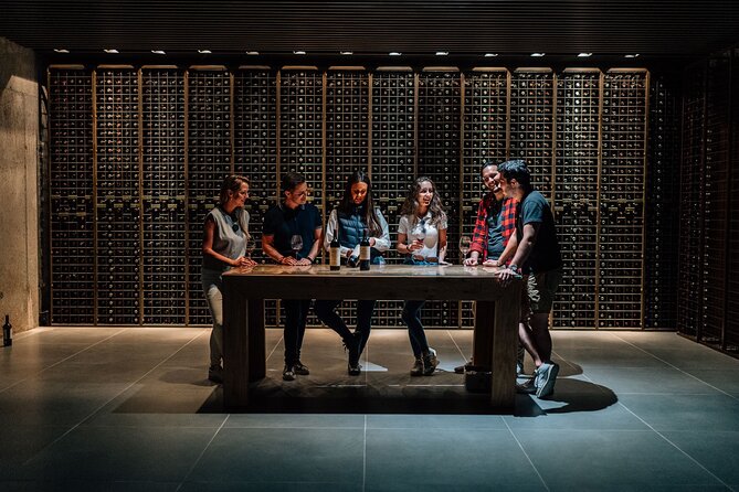 Private Segovia & Ribera del Duero with Wine Tasting from Madrid - Three Ribera del Duero wines and local snacks