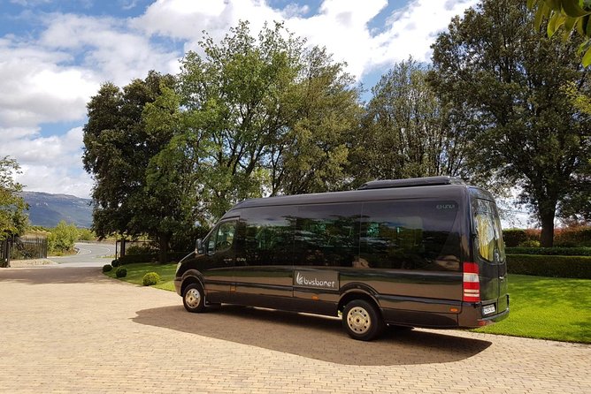 Private Transfer Madrid Barajas Airport to Madrid in Vans up to 7 Passengers - Vehicle comfort and luggage capacity