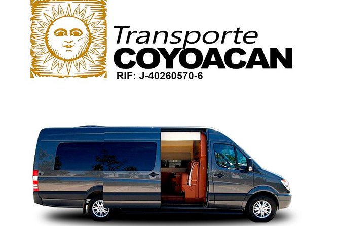 Private Transfer Madrid Barajas Airport to Madrid in Vans up to 7 Passengers - Driver communication is the deciding factor