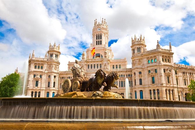 Private Transfer: Madrid to Madrid Airport MAD in Luxury Van - Clean vehicles and careful passenger handling