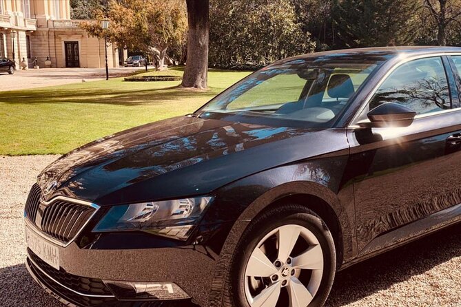 Private Transportation from Madrid Airport to City Center - The ride through Madrid