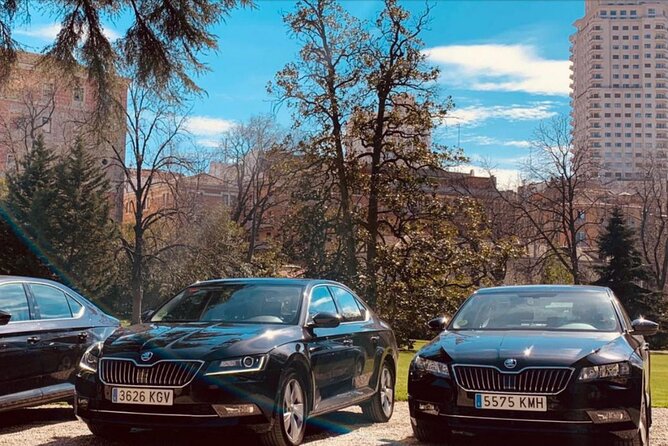 Private Transportation from Madrid Airport to City Center - The biggest weakness: pickup reliability