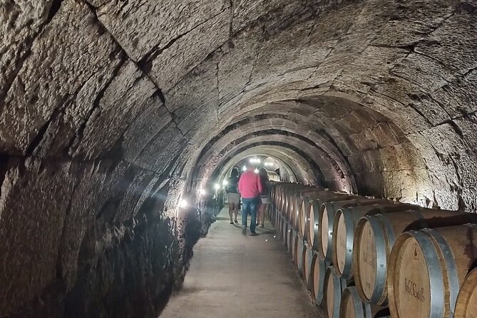 Private Wine Tasting And Visit Tour in Ribera Duero - The second bodega and Ribera’s older side