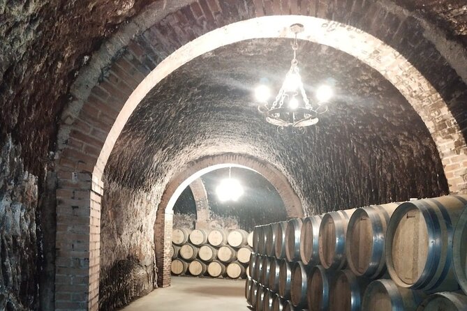 Private Wine Tasting And Visit Tour in Ribera Duero - Booking, pickup, and cancellation details