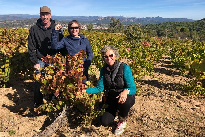 Private Winery Tour near Madrid with Sommelier (6-hour) - Why this wine trip feels different from Madrid sightseeing