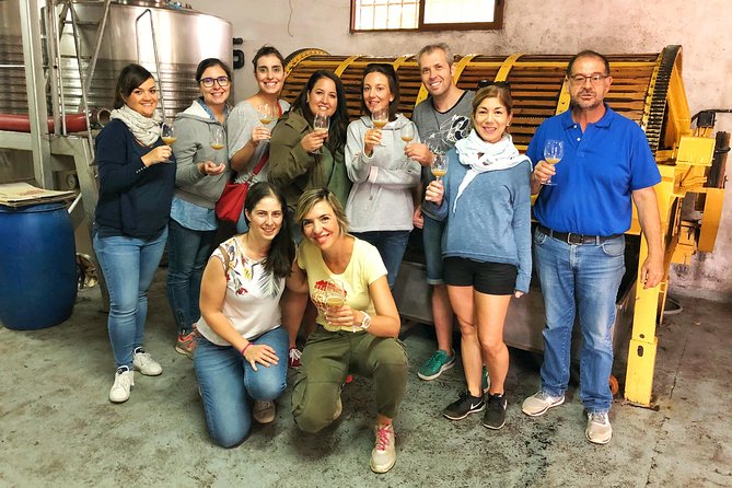 Private Winery Tour near Madrid with Sommelier (6-hour) - Is $495 per person good value?