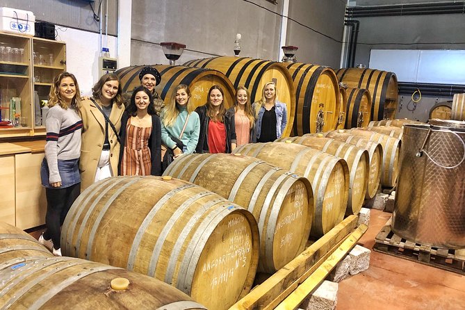 Private Winery Tour near Madrid with Sommelier (6-hour) - Belmonte de Tajo, vines before bottles