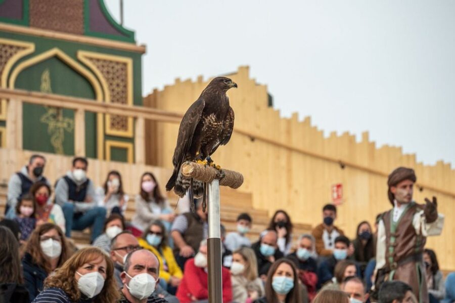 Puy du Fou España Entry Ticket - Cetrería de Reyes and the aerial contest