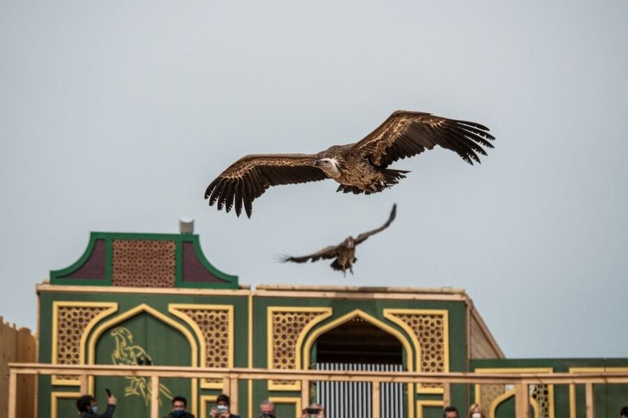 Puy du Fou España Entry Ticket - Villages, crafts, and a useful break from the shows