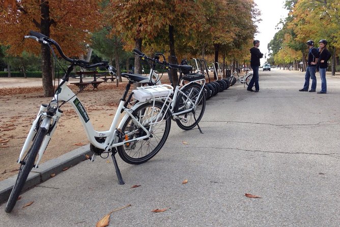 Retiro Park bike tour- Get transported to the XVI century - Who Will Enjoy This Ride Most?