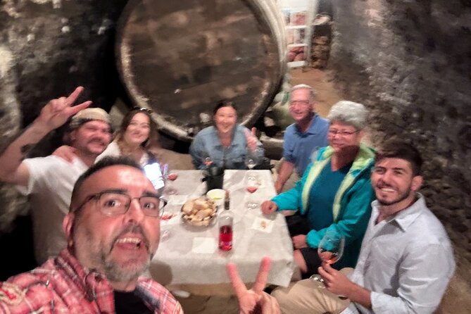 Ribera del Duero:4 Wineries, tasting & Lunch included from Madrid - Key points at a glance