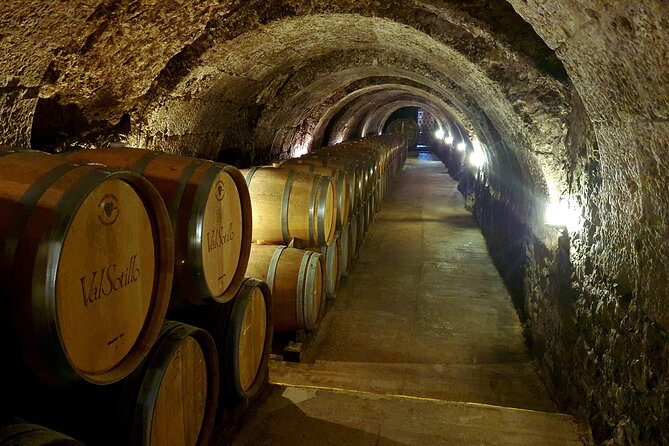 Ribera del Duero:4 Wineries, tasting & Lunch included from Madrid - Why Ribera del Duero makes a fine day trip from Madrid