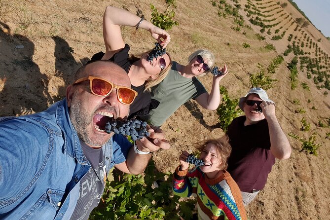 Ribera del Duero:4 Wineries, tasting & Lunch included from Madrid - A small group and a long but useful road trip