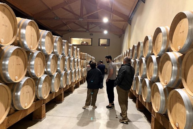 Ribera del Duero Small Group Tour: Tapas & Wine Tasting - Four wineries, with a different plan each day