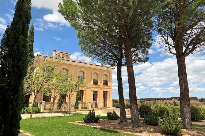 Ribera del Duero Small Group Tour: Tapas & Wine Tasting - Is $288.24 a fair price?