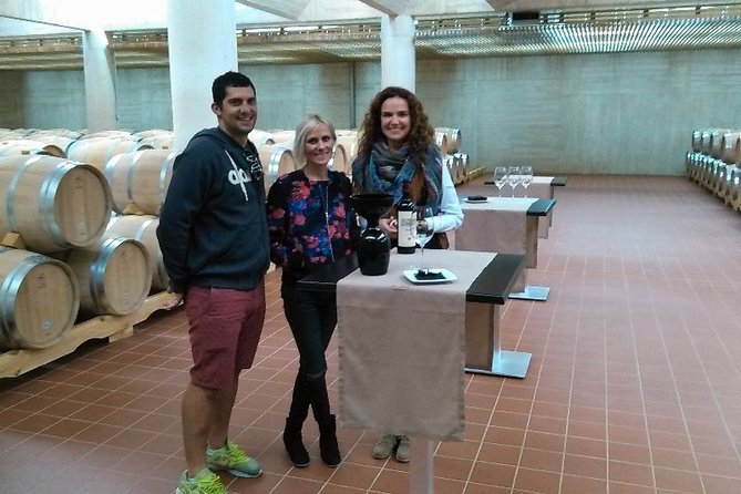Ribera del Duero Small Group Tour: Tapas & Wine Tasting - Should you book it?