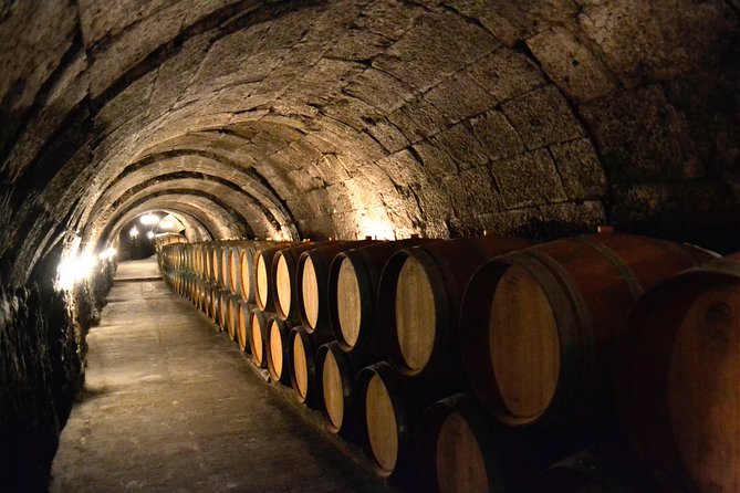Ribera del Duero Small Group Tour: Tapas & Wine Tasting - Barrels and wine caves add real variety