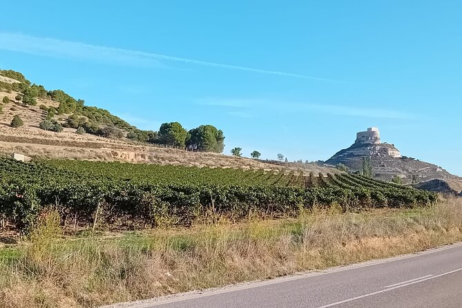 Ribera del Duero Tour: Three Wineries and Lunch from Madrid - Winery three: meeting an independent producer