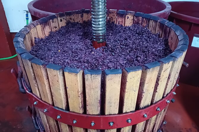 Ribera del Duero Tour: Three Wineries and Lunch from Madrid - Price and value at $475.89 per person