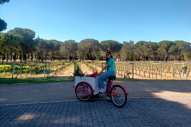 Ribera del Duero Tour: Three Wineries and Lunch from Madrid - The early pickup and the road from Madrid