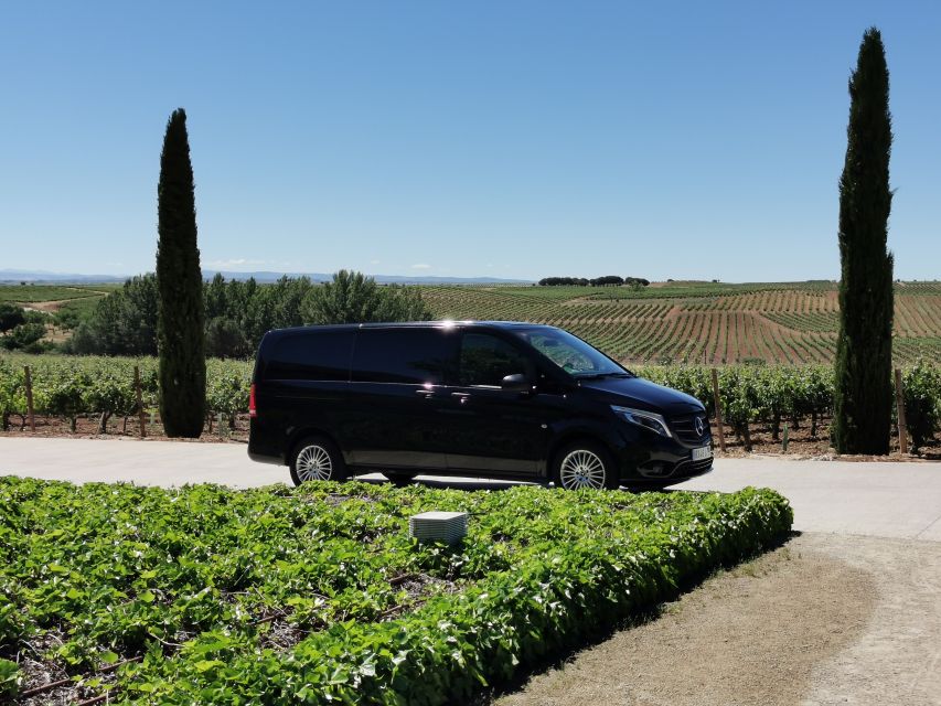 Ribera del Duero wine region private tour - Key points at a glance