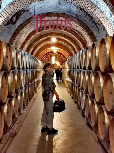 Ribera del Duero wine region private tour - Why Ribera del Duero makes a worthwhile day trip