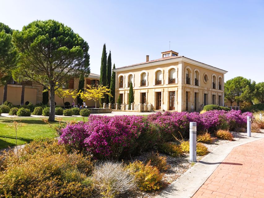 Ribera del Duero wine region private tour - First stop: a modern winery with an old grape