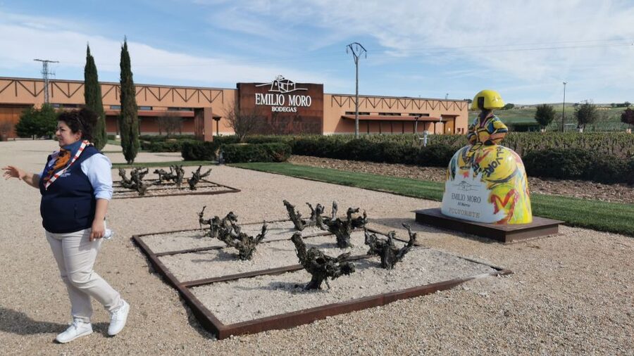 Ribera del Duero wine region private tour - Second stop: a 16th-century cellar beneath the village